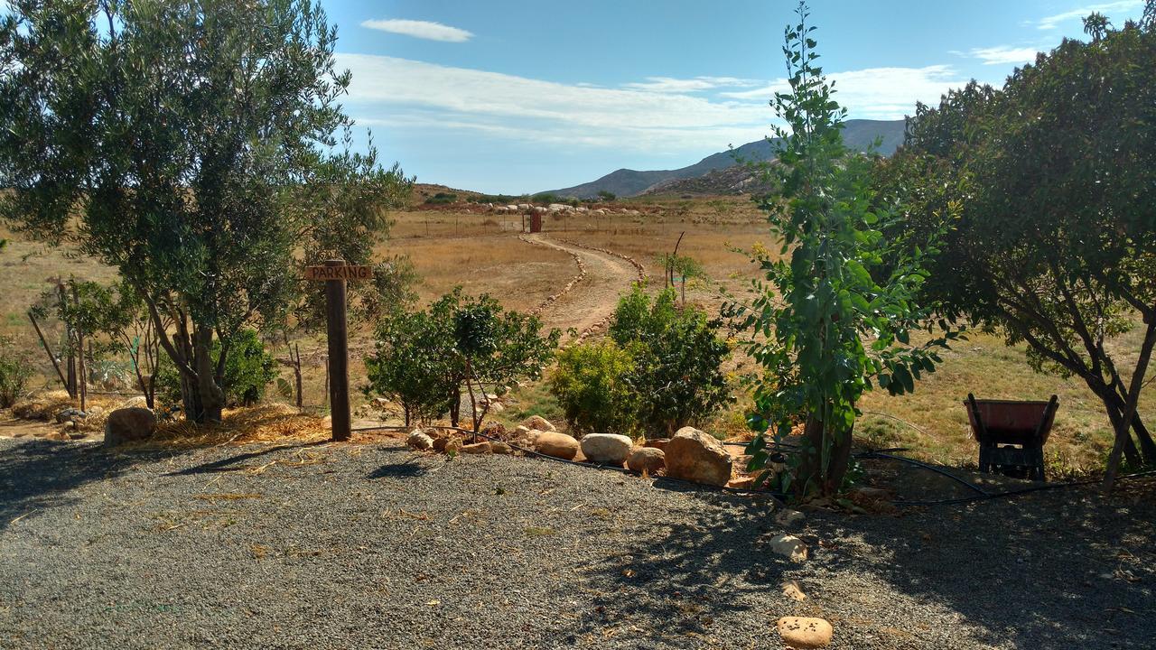 Vinofilia Wine Country Inn Valle de Guadalupe Luaran gambar